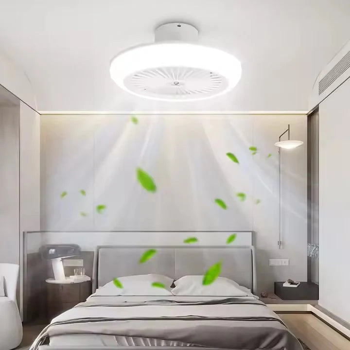 Ceiling fan and light